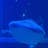 Manabu.I