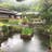岡真樹生