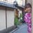 Kubota Natsumi
