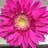 Yuko.M