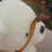 Natsumi.I