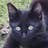 masato,h