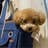 K.shiori