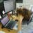 Akihiro Yoshiyama