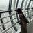 Ayane.T