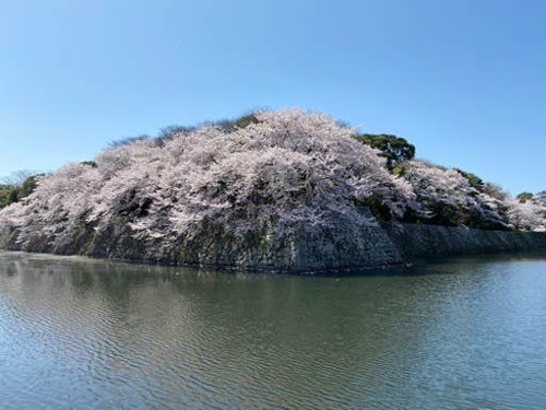近藤 武蔵