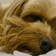 Tammy_6221
