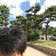 N.IWASHI