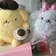 いけがみみかこ
