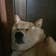 katsura.y
